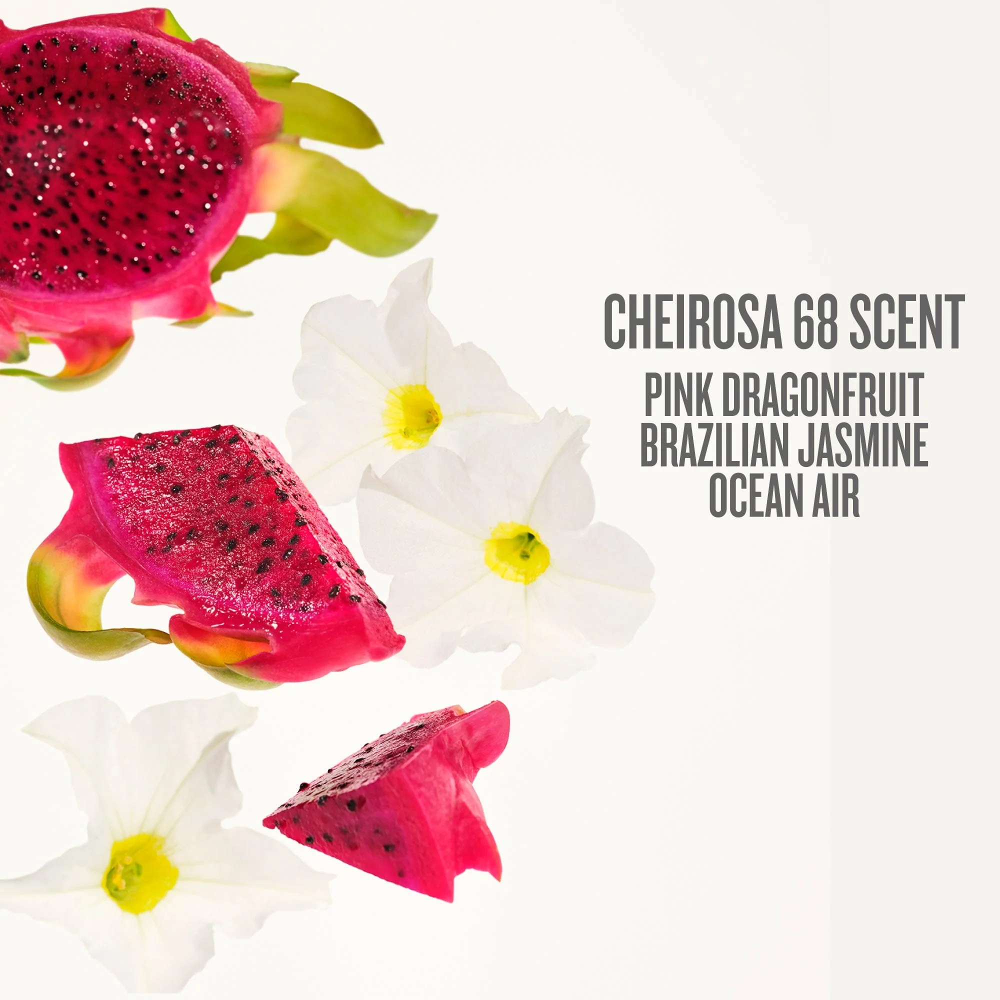 Beija Flor™ Elasti-Body Oil - Image 7